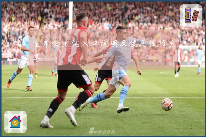 金年会主站入口说明及使用技巧分享